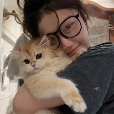 贺先生的隐婚蜜爱